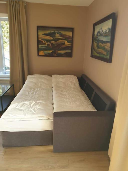 Greenhouse Golden Circle Villa Рейкхолт Екстериор снимка