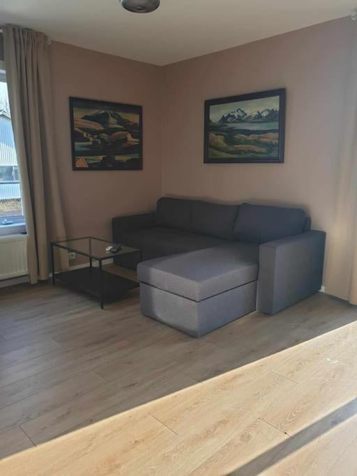 Greenhouse Golden Circle Villa Рейкхолт Екстериор снимка